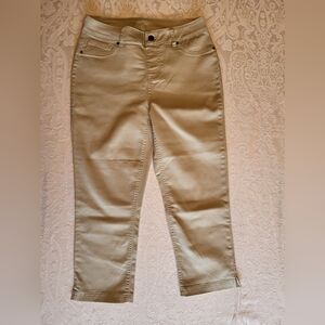 Up! Women's Skinny Cropped Pants in Tan, Size 10, NWOT